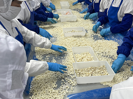 Canned Water Chestnut Season Now Underway