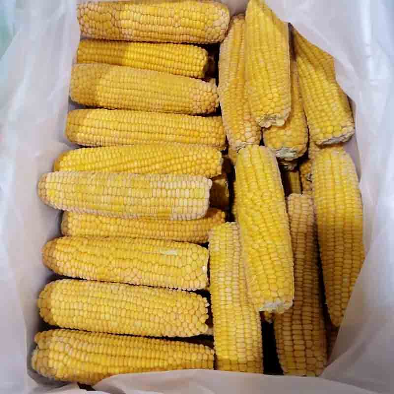 XIAMEN YUNG YONG CO., LTD