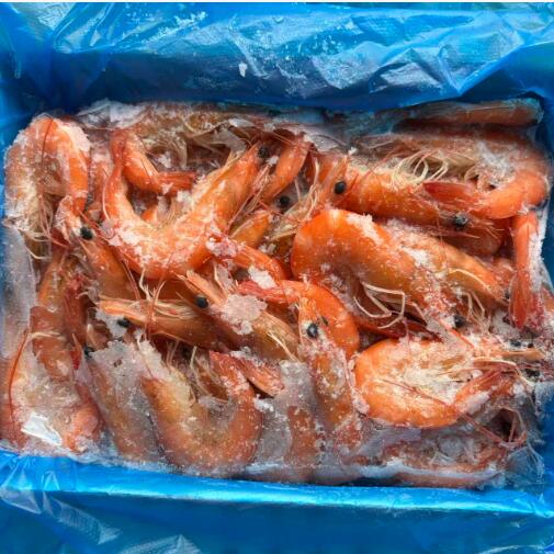 Frozen Cooked Vannamei Shrimp HOSO - Yung Yong