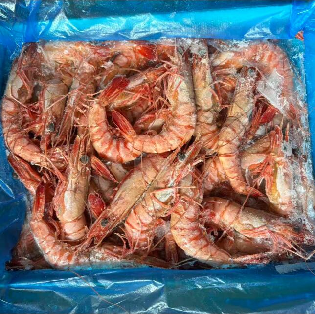 Frozen Cooked Black Tiger Shrimp HOSO - Yung Yong