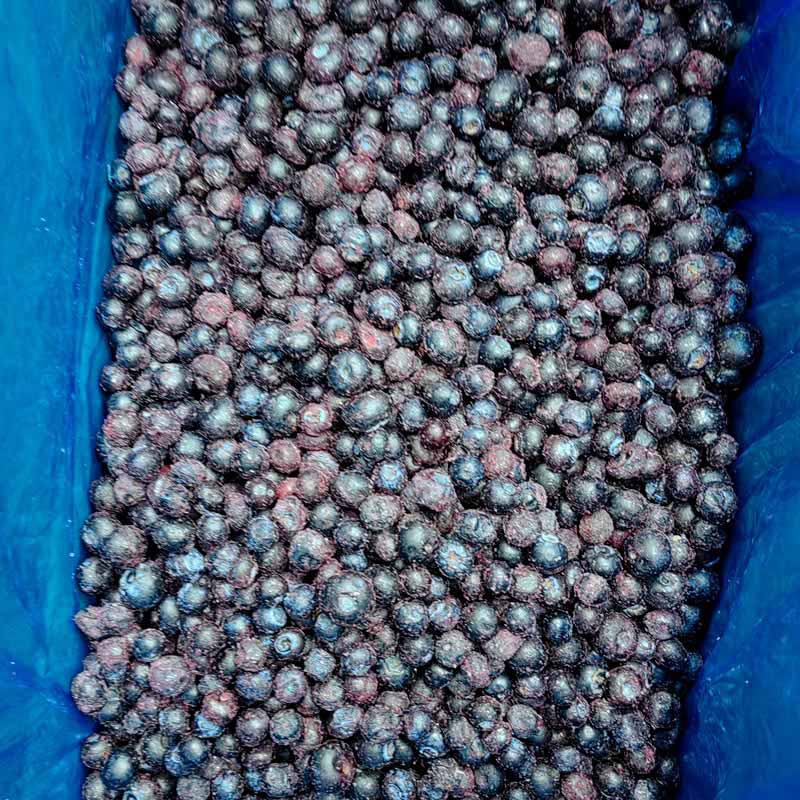 IQF Frozen Blueberry - Yung Yong