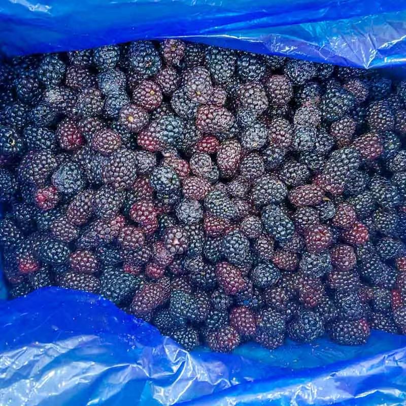 IQF Frozen Blackberry - Yung Yong