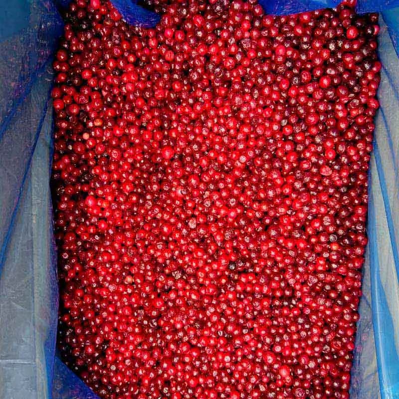 IQF Frozen Lingonberry - Yung Yong