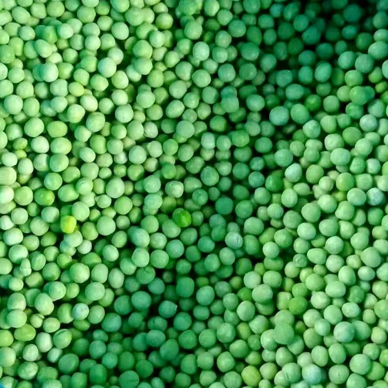 IQF Frozen Green Peas - Yung Yong