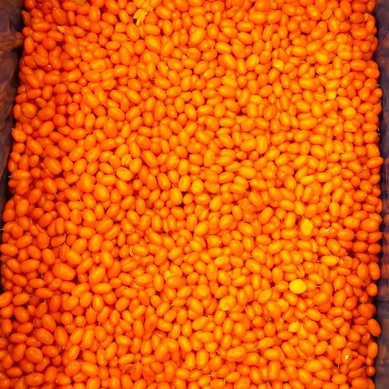 IQF Frozen Seabuckthorn - Yung Yong