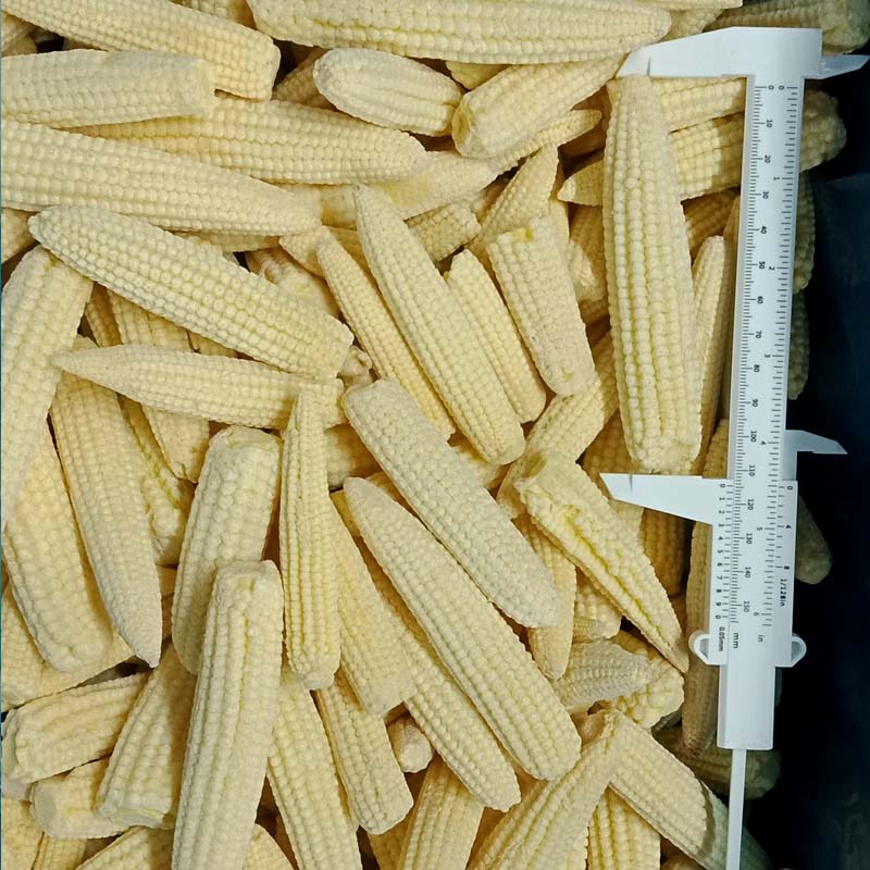 IQF Frozen Baby Corns - Yung Yong