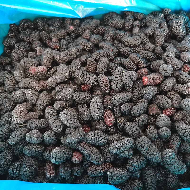 IQF Frozen Mulberry - Yung Yong