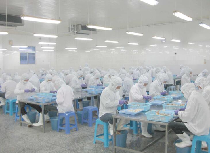 One of Our Seafood Processing Facilities – Longhai Oriland Seafood Co., Ltd.
