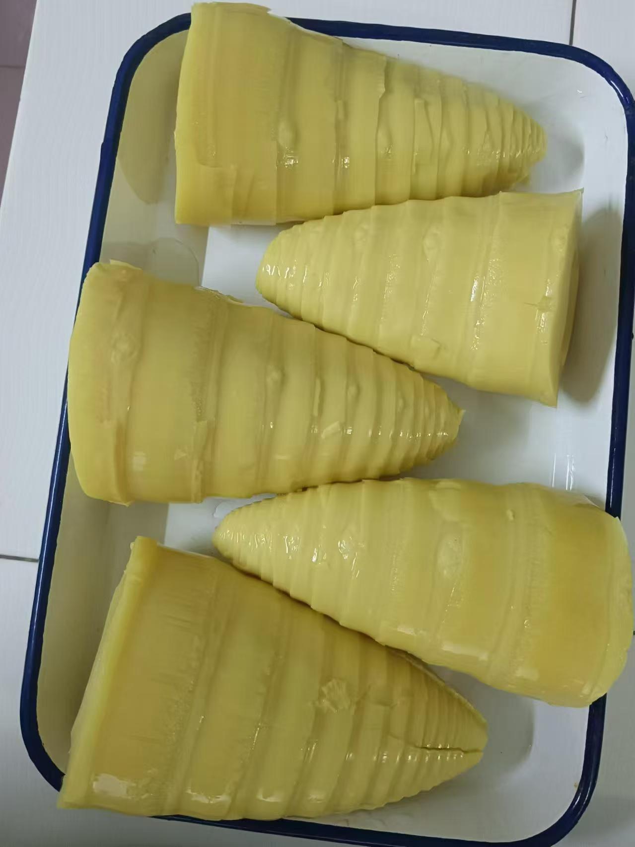 Lychee season finished but bamboo shoots come